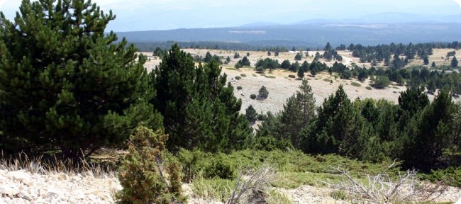 Enduro du Ventoux