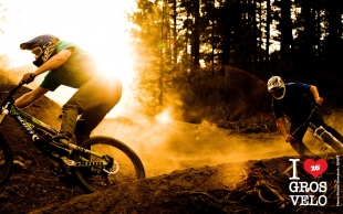 Freeride #5