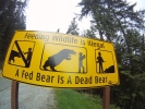 attention aux ours !!! 