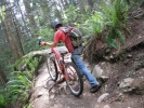 une petite cote comme il y en a plein dans leurs trails