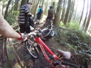 dans la foret avec l'équipe