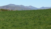 Paysage sur la premi�re cr�te