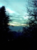 le ciel entre les arbres