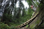 Sunset Trail d�but