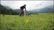 paturage suisse