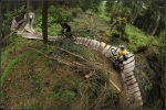 r�ve de bois