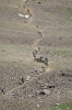 Megavalanche 2010