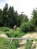 et le test en milieu plus ou moins naturel ...