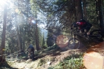 rayon de lumiere en foret