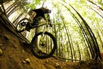 Bike Park Todtnau
