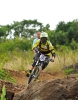 ACC dans la SP3