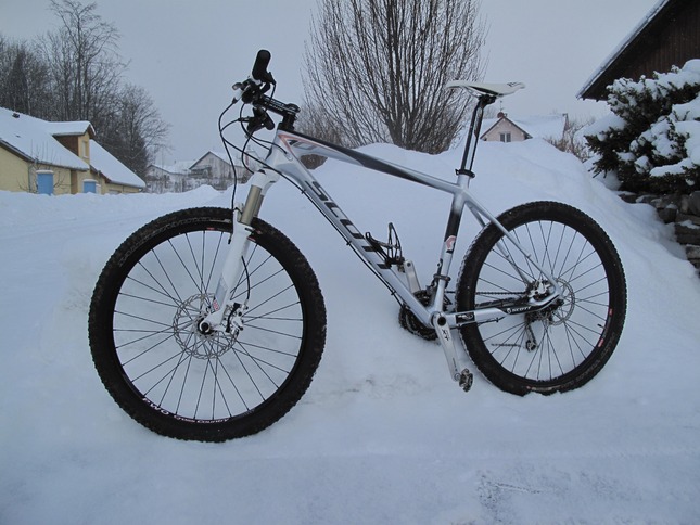 Scott scale 10 top 2012