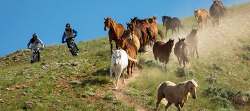 UnReal - Nouveau projet Anthill / Teton Gravity