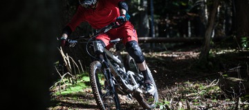 Essai Canfield Brothers Balance