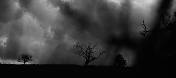 PEF en Nouvelle Cal&eacute;donie - La construction