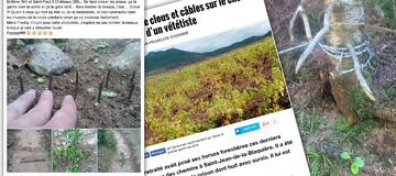 Les pi&egrave;ges sur les trails.