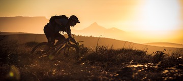 CHASING SUMMER - Rob J Heran