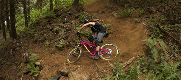 Reconversion: Josh Bryceland