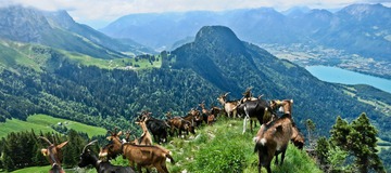 Trail Buddies - Episode 3