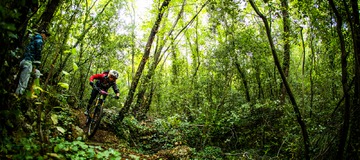 EWS: R&eacute;sultats Finale