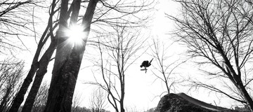 French Chronicles 2: Berthier et Terrier