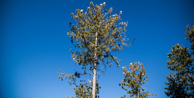 Vid&eacute;os de la semaine