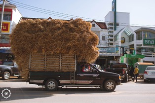 MIA Santa Cruz en Thailande