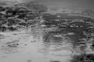 Crankworx Les Gets: Jeudi - Pluie