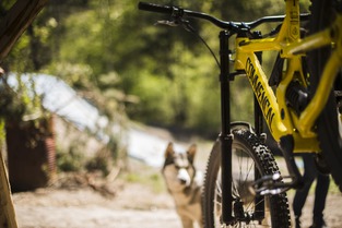 Commencal Supreme DH V3 - 2017