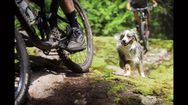 Crankworx Whistler: Samsung Deep Summer Photo Challenge