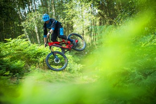 Pivot 2017: Le Firebird