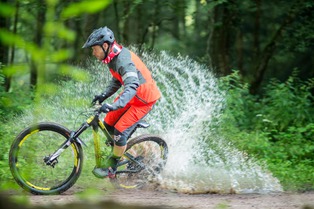 Fox: Collection Automne 2016