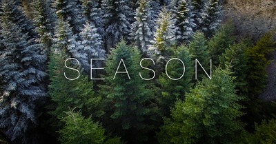 Season - Edgar Hans