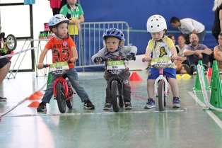 Le dossier draisiennes