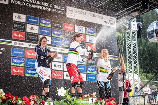 Le r&eacute;sum&eacute; - 2016