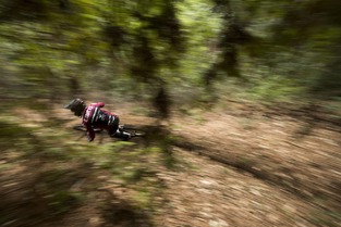 Vergier et Shaw int&egrave;grent le Syndicate