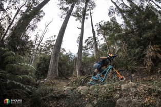 EWS - Tasmanie: Les recos