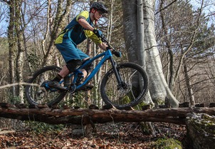 Canyon Strive CF 8.0 Race