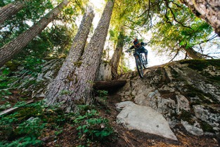 Transition : la gamme 2018