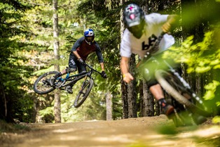 Matos : Canyon - Torque 2018