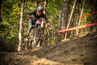 Specialized - Butcher & Hillbilly