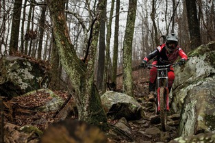 RockShox BoXXer 2019