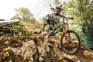 FOX : Nouveaut&eacute;s 2019