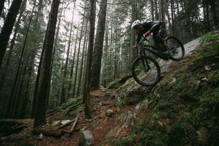 Specialized - AMBUSH