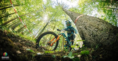 EWS #4 - Racines austro-slov&egrave;nes