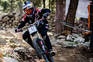 Onza - Aquila & Ibex