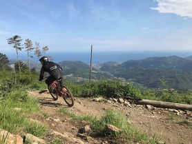 Pneus Specialized Butcher & Hillbilly - Le verdict des lecteurs