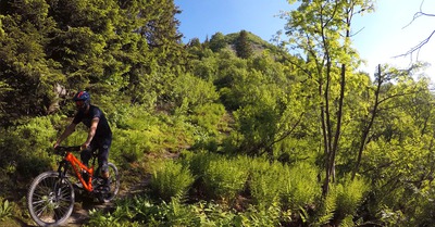 Scott Stego - Le verdict des lecteurs