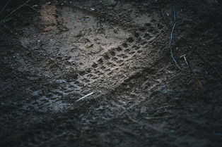 Nicolas Terrier - Bike day !