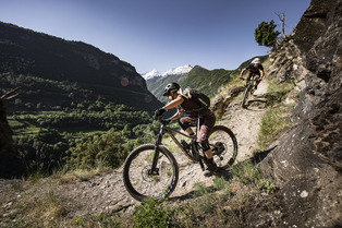 SYNCROS - iS Tailor Cage 2.0HV